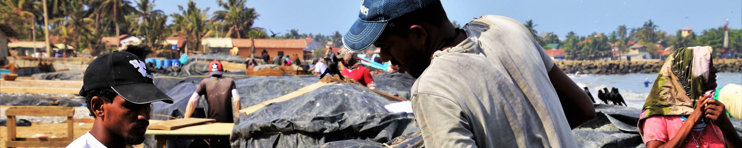 By 2050, due to a changing climate, deaths from heat waves could reach 260,000 annually